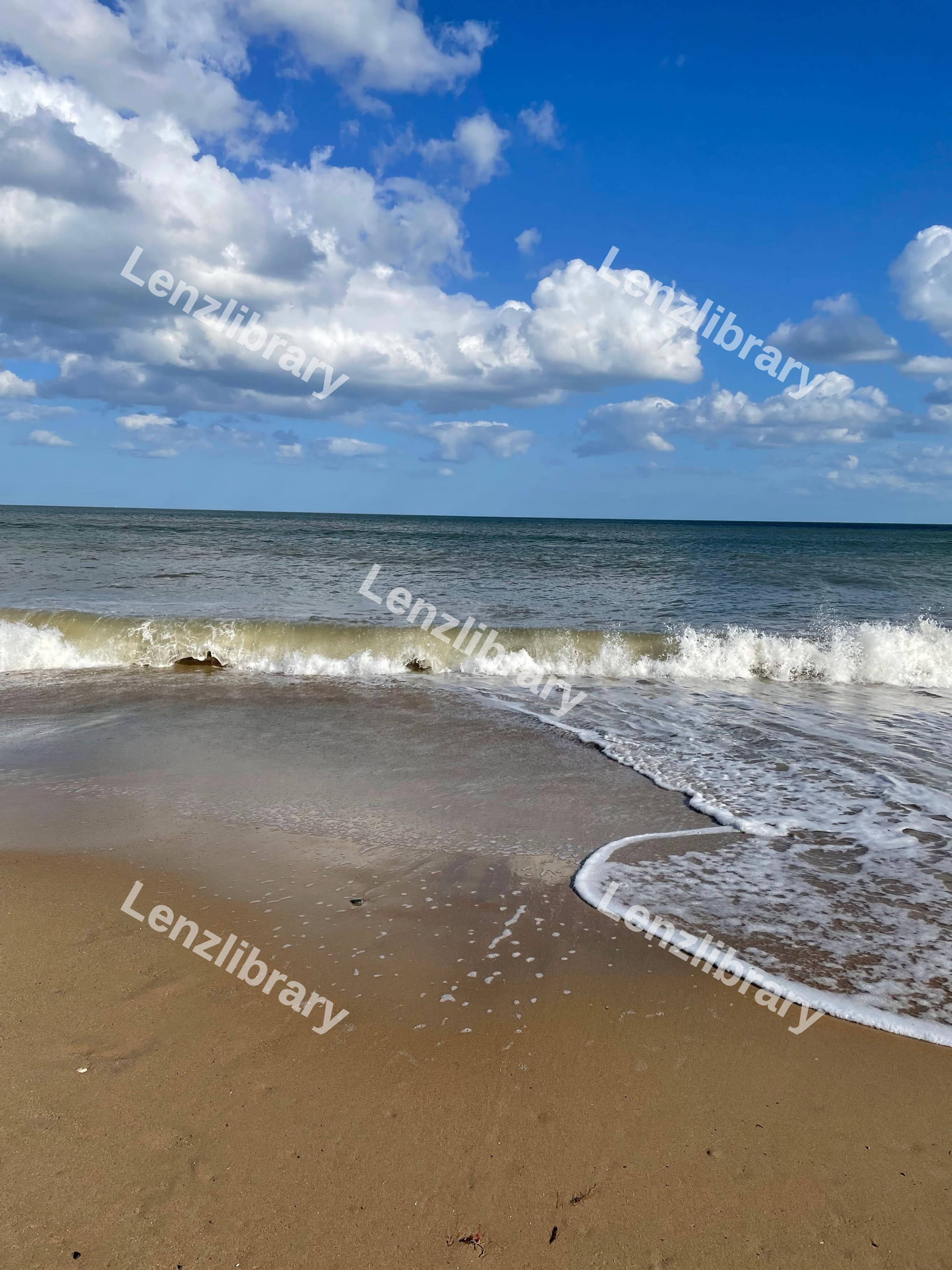 Calming Beach With Wave